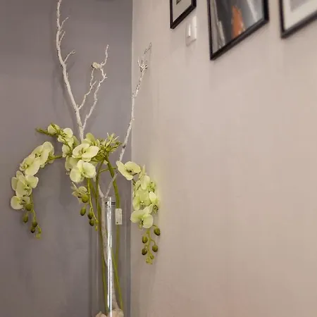 Art & Gallery Vacation * Korčula