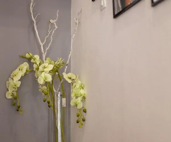 Art & Gallery Vacation * Korčula